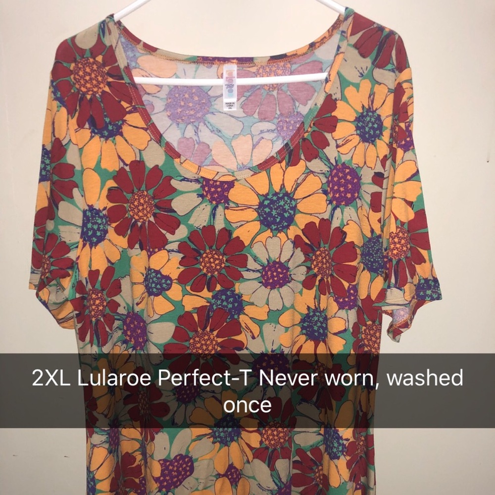 LulaRoe perfect t 2Xl